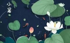 羽绒服可以烘洗吗?